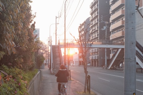 轩辕诀 后来这部分本源之力就分布在这片大陆的8处地方