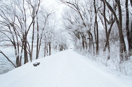 第一场雪 峻青(峻青：揭秘第一场雪的神奇魅力)